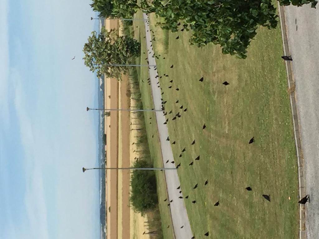 Birdland Villapark Golf View Bük Zewnętrze zdjęcie